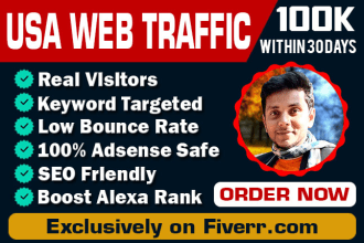 drive USA targeted unlimited web traffic