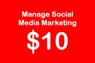 manage social media marketing