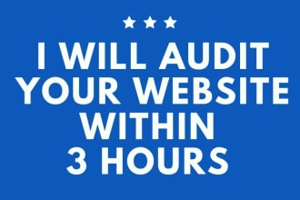 do your website audit within 3 hours