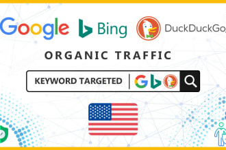 drive organic google,bing,duckduckgo 24h non stop usa traffic