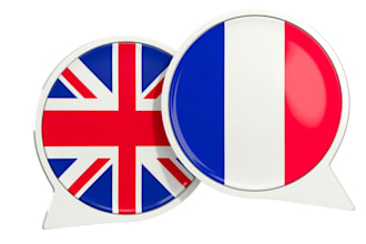 professionally proofread or translate any text from english to french