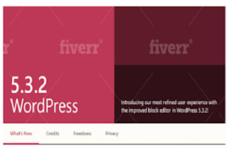 customize wordpress theme  and fix css issues with video tutorial