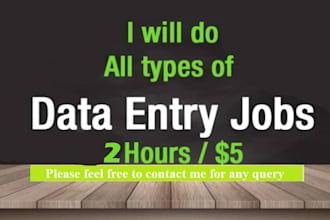 provide fast and quality data entry service