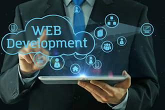offer custom website development services