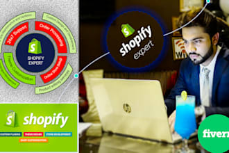 setup 7 figure shopify store and shopify dropshipping store