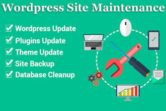 update website wordpress themes and wordpress plugins