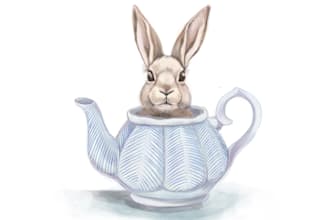 create vintage watercolor illustrations for childrens book
