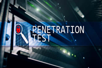 provide vulnerability assessment and penetration service