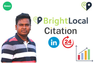 do 40 brightlocal citations manually in 24 hours