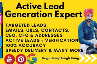 generate business leads scrape collect emails URL ceo, cfo
