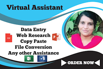 be your virtual assistant for bulk data entry, web research