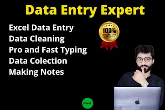 virtual assistant for data entry, web research copypaste