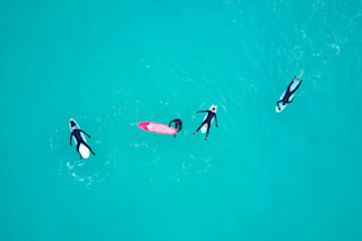 write your ocean economy blog or article