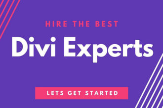 your expert for divi theme, divi builder wordpress