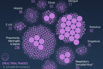 make information beautiful with data visualization
