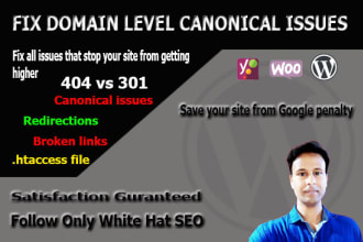 fix domain level canonical issue of any website