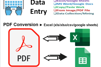 be your excel data entry, mining, and file conversion expert