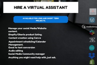 your professional virtual assistant