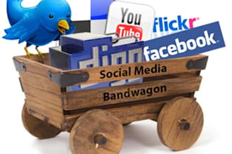 customize a social media marketing plan to fit your needs
