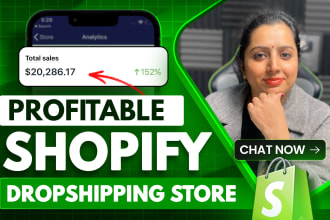 build passive income dropshipping store for shopify website