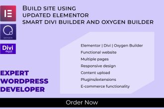 build custom responsive creative elementor pro wordpress website and fix issues