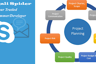 talk about web development,website design on skype,email