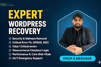 provide expert wordpress emergency recovery and security hardening