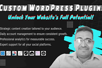 develop a custom wordpress plugin tailored to your website needs