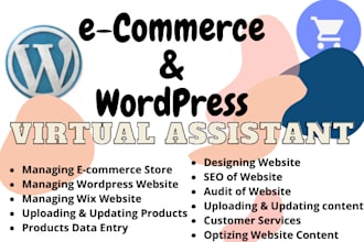 be your virtual assistant for wordpress and ecommerce website
