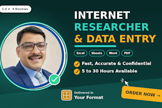 work as your internet researcher for data entry and web research
