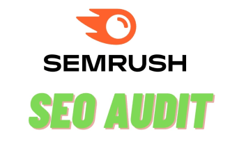 do SEO audit, website audit, backlink analysis and competitor analysis