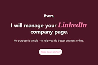 be your linkedin social media marketing manager and content creator