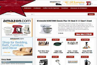create a powerful AMAZON Auto Store in a profitable niche of your choice
