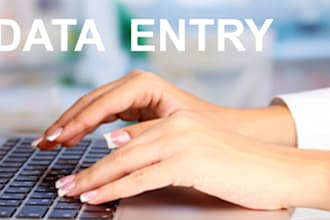simple data entry 2 hours work
