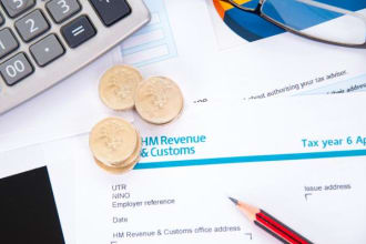 prepare and file UK tax return for individuals and companies