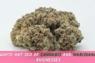 do white hat cbd, marijuana and cannabis SEO