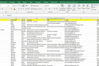 microsoft excel data entry