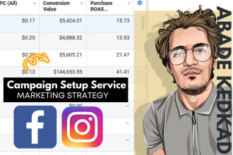 setup and launch your facebook ad campaigns