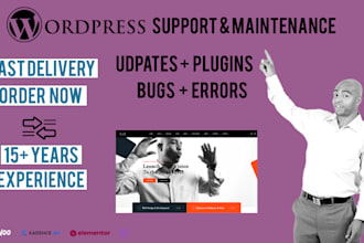 do monthly wordpress support, maintenance, plugin, themes, updates, security