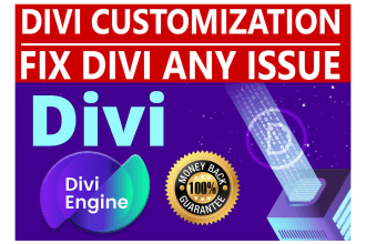 help to fix divi builder issue and divi theme customization