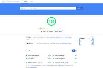 do a wordpress speed optimization with gtmetrix, pagespeed insights