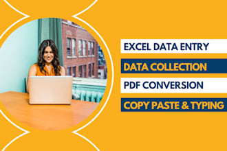 do data entry, copy paste, web research and excel data entry