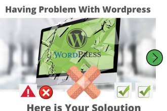 do wordpress error fix and debug