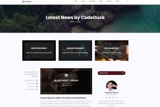 build a blog website with admin panel