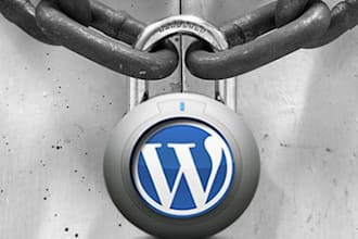 help you to modify customize your wordpress blog