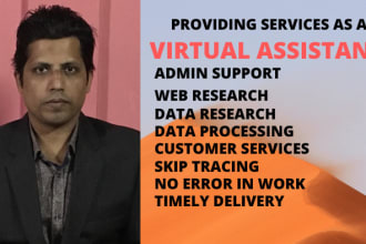 do quality virtual assistant job for admin support, web research and data entry