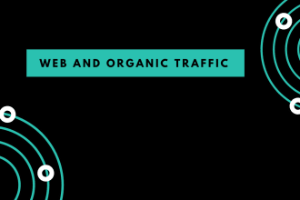 drive real organic web traffic from worldwide