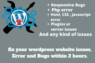 fix wordpress error or bugs and wordpress issues