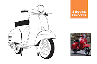 draw vector, line art illustrations