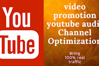 do youtube video and channel SEO optimization, channel audit